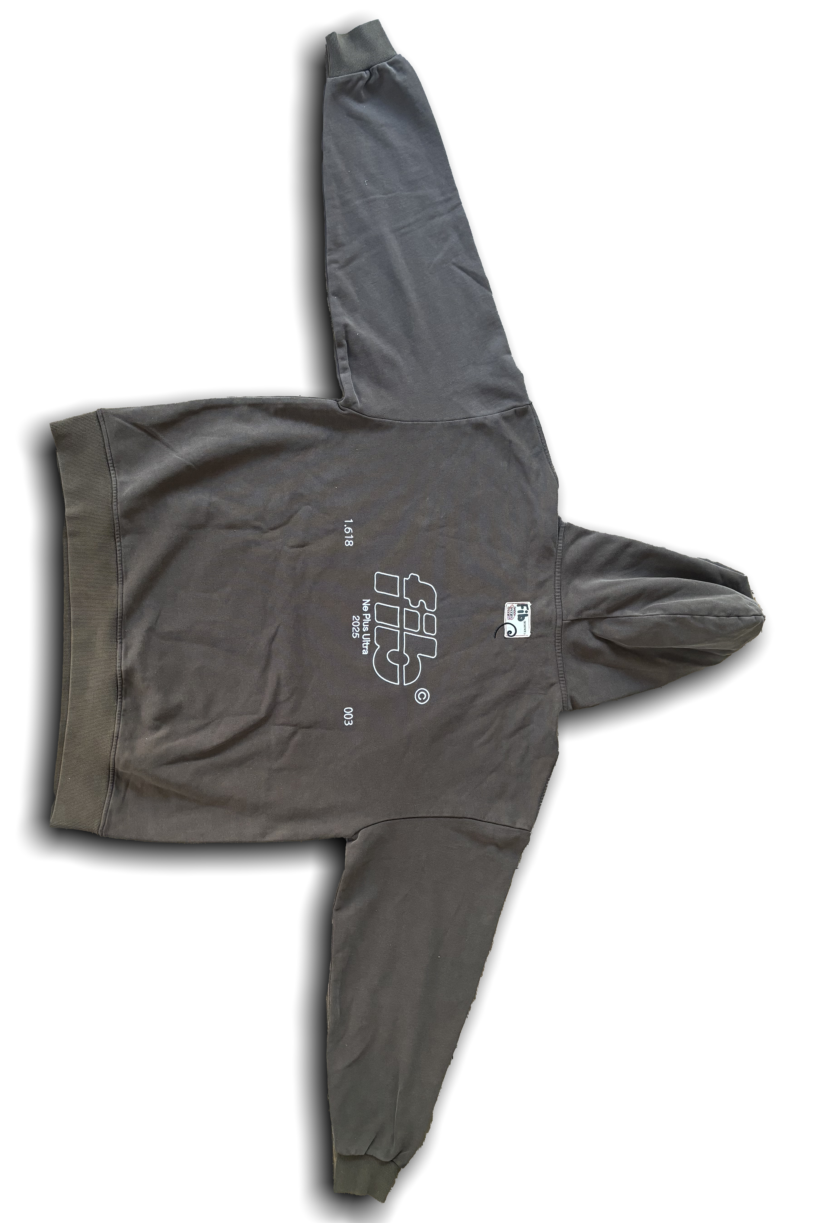 FIB HEAVYWEIGHT HOODIE - BROWN